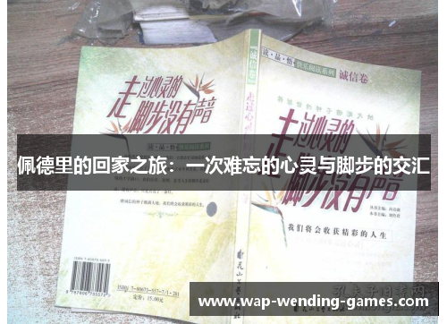 佩德里的回家之旅：一次难忘的心灵与脚步的交汇