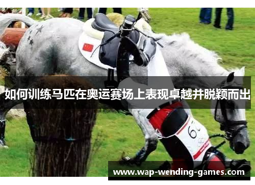 如何训练马匹在奥运赛场上表现卓越并脱颖而出