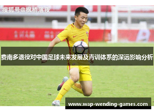 费南多退役对中国足球未来发展及青训体系的深远影响分析