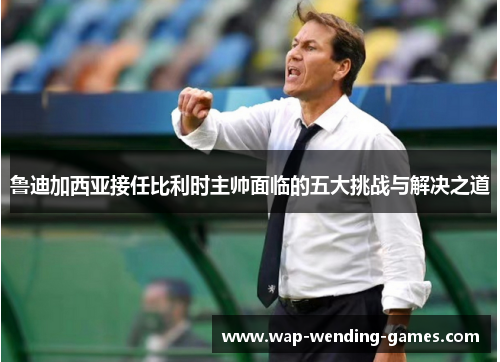 鲁迪加西亚接任比利时主帅面临的五大挑战与解决之道