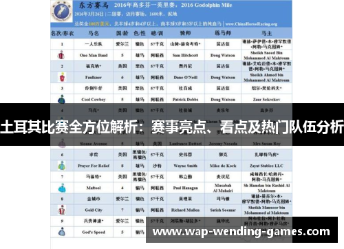土耳其比赛全方位解析:赛事亮点、看点及热门队伍分析 土耳其比赛全方位解析:赛事亮点、看点及热门队伍分析