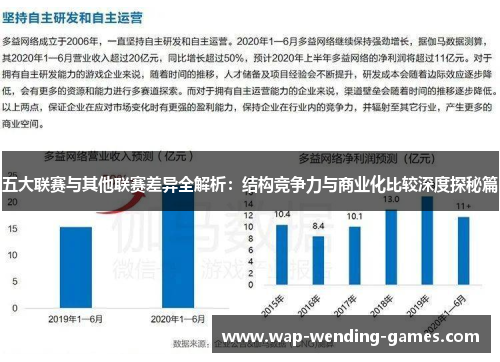 五大联赛与其他联赛差异全解析:结构竞争力与商业化比较深度探秘篇 五大联赛与其他联赛差异全解析:结构竞争力与商业化比较深度探秘篇