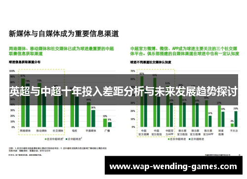 英超与中超十年投入差距分析与未来发展趋势探讨