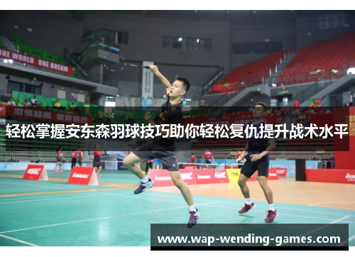 轻松掌握安东森羽球技巧助你轻松复仇提升战术水平