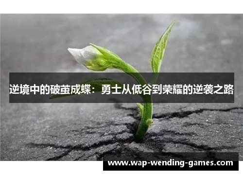 逆境中的破茧成蝶：勇士从低谷到荣耀的逆袭之路