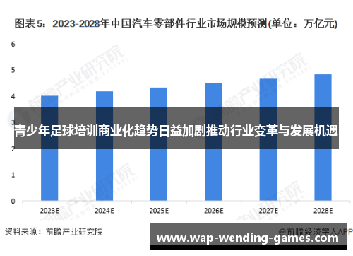 青少年足球培训商业化趋势日益加剧推动行业变革与发展机遇